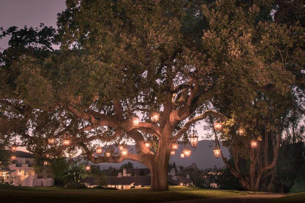 Valley Resort